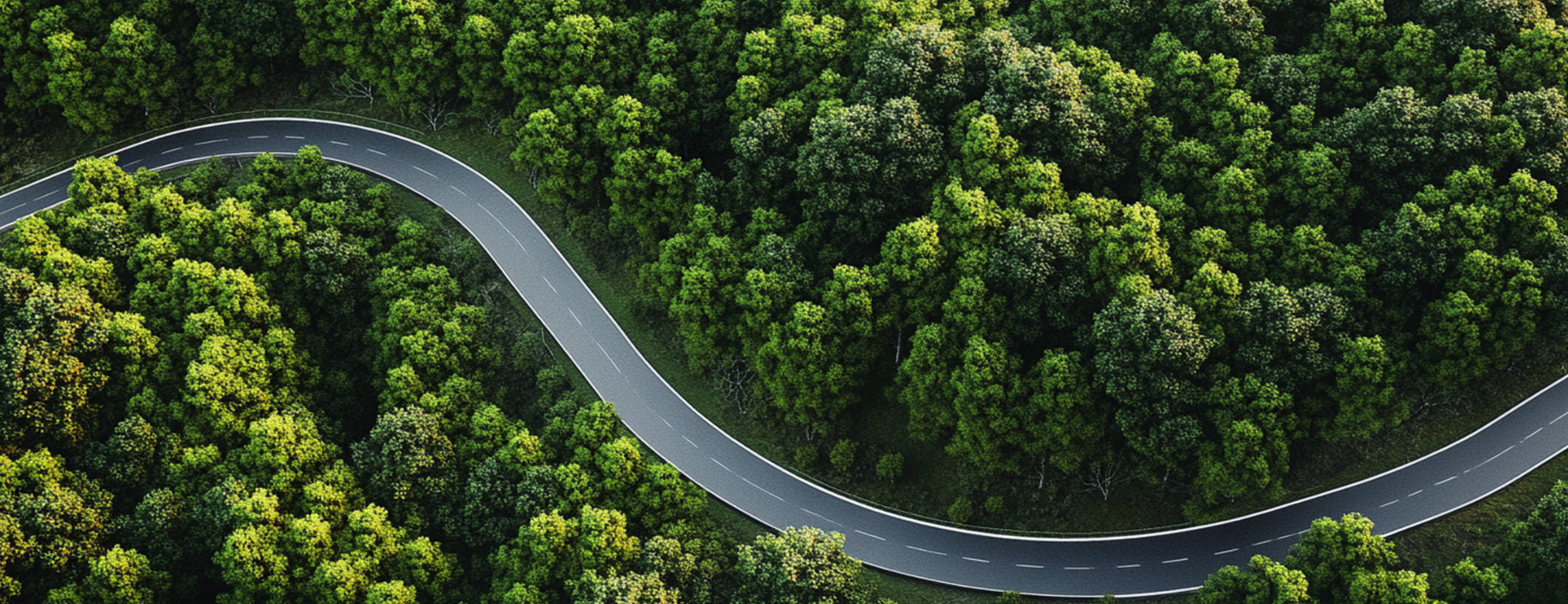 ��Ӯ���ʰ�zygjb����(�й���)���޹�˾