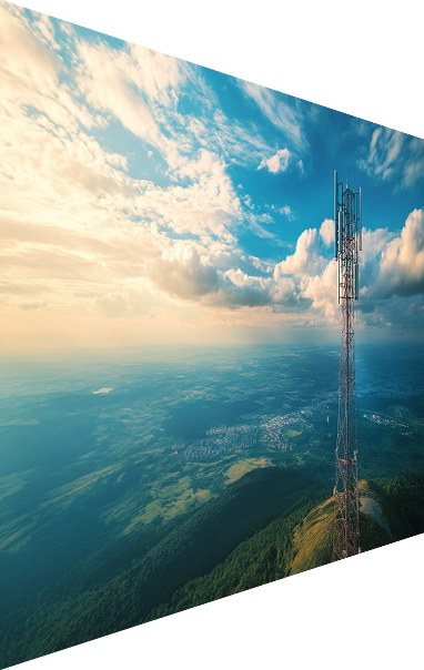 ��Ӯ���ʰ�zygjb����(�й���)���޹�˾